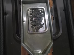 Polygonum multiflorum Pulver